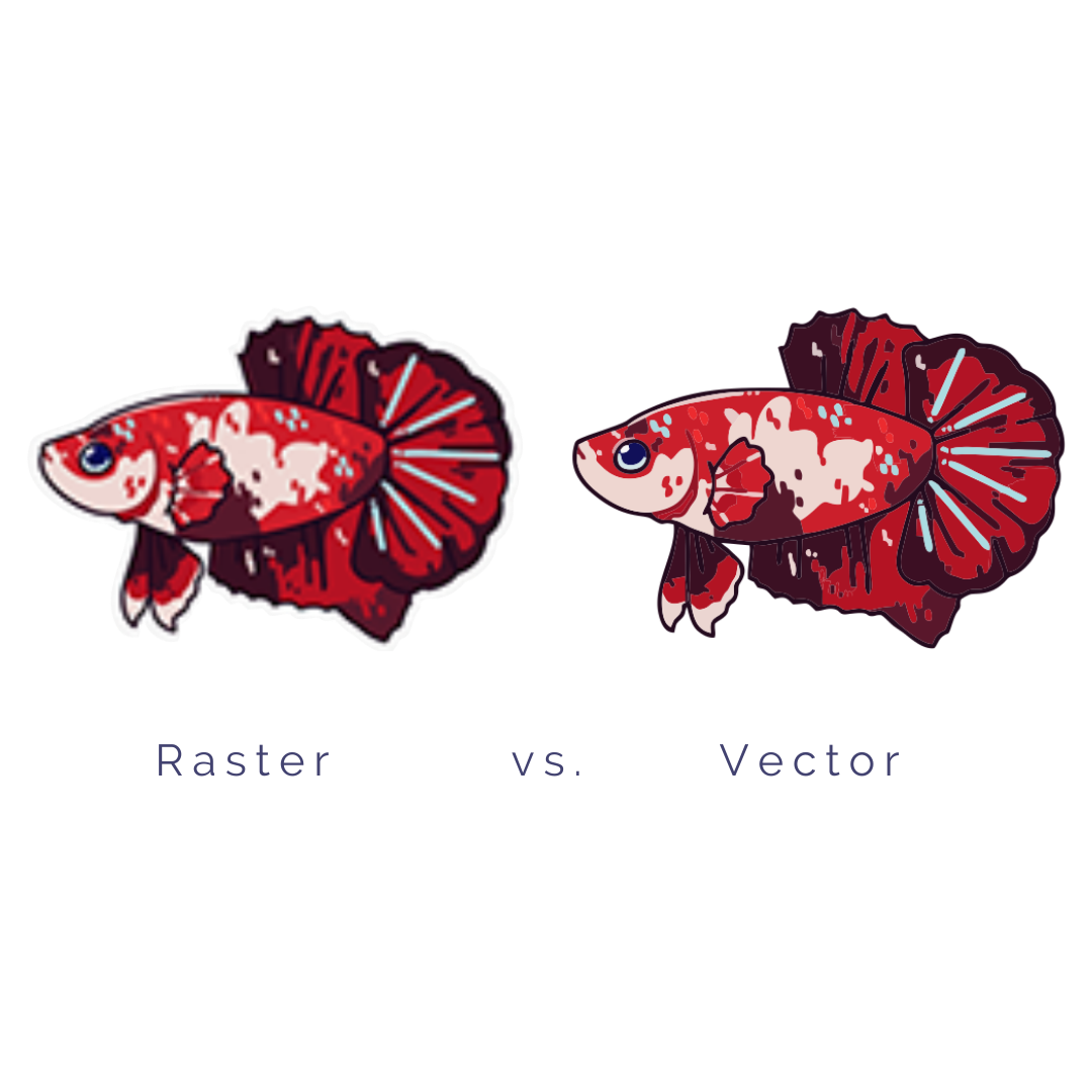 SI_raster_vs_vector_example.png